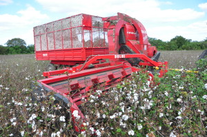 Cosechadora de algodón Dolbi Javiyú, apta para la recolección de algodón mediante sistema despojador tipo Stripper.