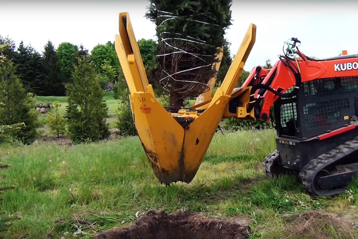 Dutchman diseñó una máquina para hacer la “mudanza” de árboles - Maquinac