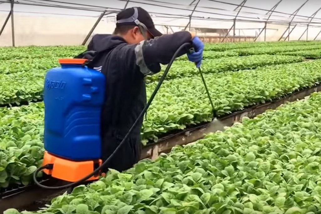 Mochila pulverizadora Jacto PJB-20 C