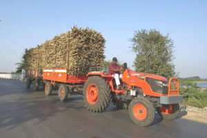 Formarán una empresa conjunta en la India para atender las demandas de tractores de Baja Potencia en ese mercado y otros destinos. Prevén fabricar 50.000 unidades anuales.