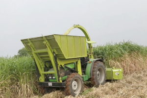 Desde una rotoenfardadora con tolva propia a un tractor convertido en picadora. Un repaso de las excentricidades en materia de forrajes.