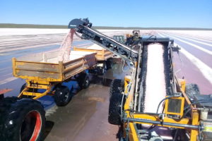 La empresa tiene trabajando su cosechadora de arrastre CSV 3000 en las principales regiones productoras del mercado argentino. Mirá el video.