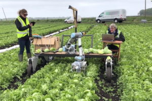 Utiliza el aprendizaje automático para identificar y cosechar un cultivo agrícola común. Fue desarrollado por la Universidad de Cambridge. Mirá el video.