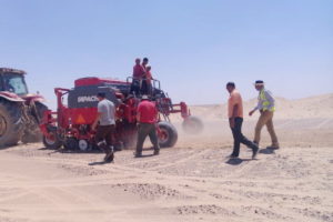 La empresa enviará más sembradoras para el proyecto que se desarrolla en 70.000 hectáreas.