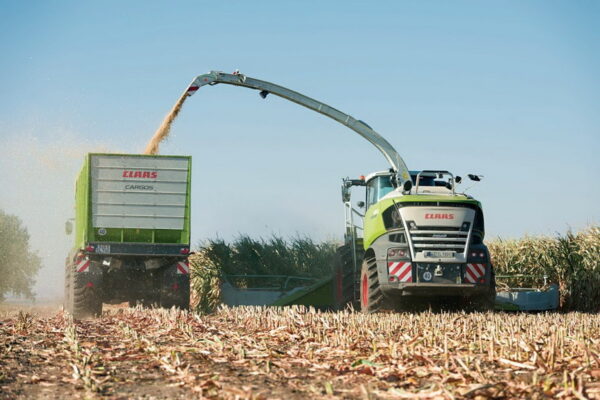 Picadora de forraje Claas Jaguar 980