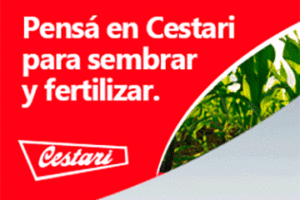 Cestari (Empresa)