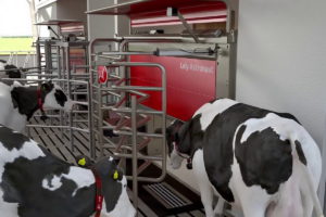 Con la operación, incorporó la tecnología que mide progesterona en la leche e indica si es conveniente inseminar a la vaca.