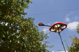 La emresa israelí Tevel Aerobotics Technologies desarrolló un robot que puede cosechar frutas de manera totalmente autónoma mediante drones equipados con sensores de última generación y una garra mecánica para tomar los frutos de los árboles y colocarlos en un recipiente sin que sufran daños.