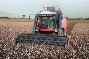 La cosechadora de Dolbi que ganó el Premio CITA de Oro 2021 marca un hito para la industria nacional por sus innovaciones y su proyección.