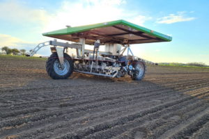 La compañía danesa FarmDroid diseñó el robot desmalezador FD20, un equipo que puede realizar de manera autónoma tareas de siembra y control mecánico de malezas.