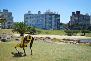 El producto de Boston Dynamics desembarcó en el mercado uruguayo y tiene posibilidades de cruzar el Río de la Plata.