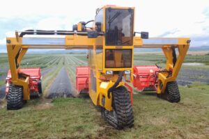 La compañía neerlandesa Damcon desarrolló la línea de tractores Multitrike, de altura libre, ideales para trabajar en cultivos en hileras.