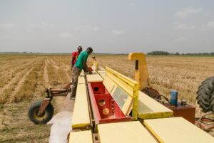 Los grandes semilleros mundiales desembarcan con soja y maíz porque consideran al continente un “Brasil dormido”. El potencial para sembradoras, tractores y cosechadoras.