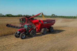 Positivo: Cortaron la racha alcista de los últimos años. Negativo: Siguen entre los más altos de la historia.