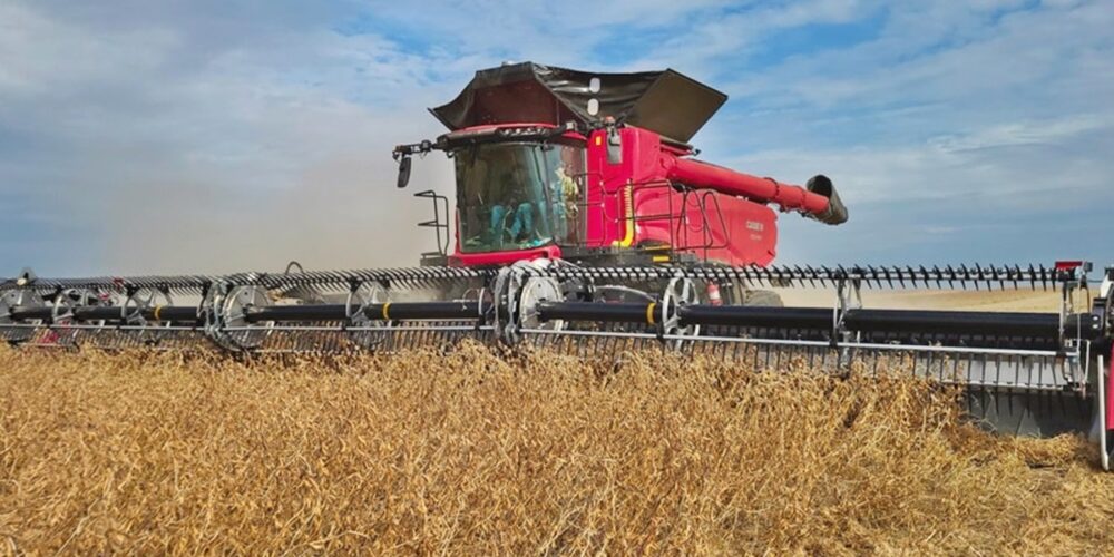 Cosechadora Case IH AF11