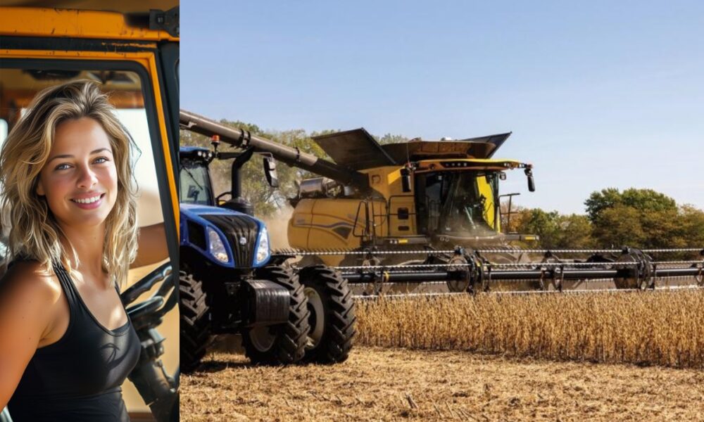 Maqui en la cosechadora New Holland CR11