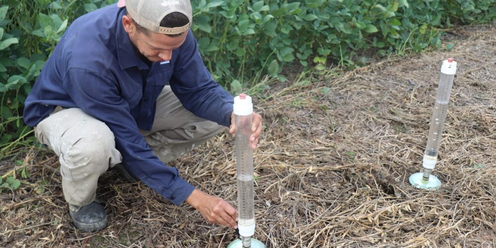 An&aacute;lisis de suelos