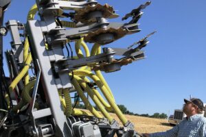 Constituyen una opción a los fertilizantes químicos y se obtienen a partir de desechos municipales. Apuntan a una economía circular.