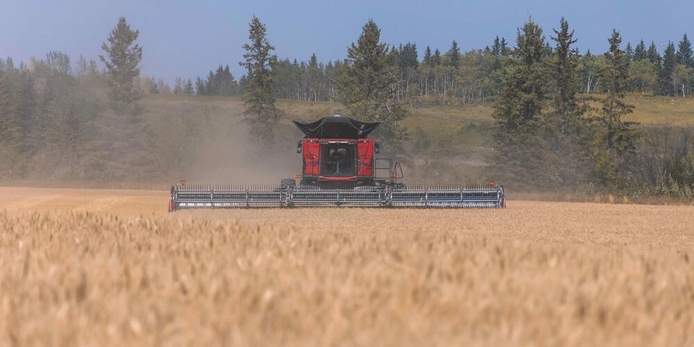 Cosechadora Case IH AF11