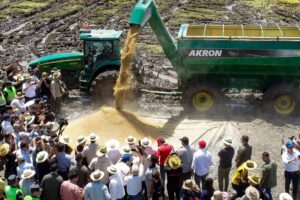Participó con sus máquinas para logística granaria en el lanzamiento oficial de la cosecha de arroz.
