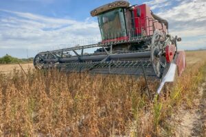 El encuentro es auspiciado por Piersanti. Se realizará el 12 de marzo y contará con la participación de especialistas para abordar temas clave.