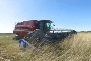 El equipo polifuncional que puede cumplir tareas en agricultura y ganader&iacute;a, opera con barra de corte r&iacute;gida y sistemas de flotaci&oacute;n ajustable. Mir&aacute; el video.