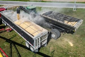 Los lugares de almacenaje se están colmando y los productores se enfrentan a un colapso financiero.