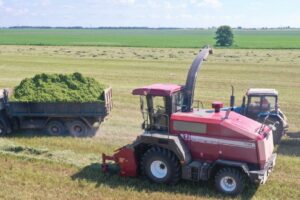 Incorpora en el mercado argentino modelos para equipar las picadoras FS80 y FS8060. Son apropiados para maíz, sorgo y pasturas.