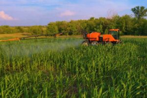 En un mercado que tradicionalmente se abastece de modelos extranjeros, surgen versiones con fuerte evoluci&oacute;n tecnol&oacute;gica.