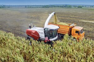 El desplome afectó tanto a la producción nacional como a los equipos importados. Los tractores retrocedieron -31% respecto a 2024.