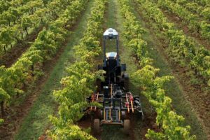 La compañía especializada en robotizar máquinas agrícolas se quedó con la desarrolladora de soluciones de Inteligencia Artificial para los viñedos.