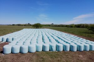 El henolaje es un sistema de conservación de forrajes que combina un presecado en el campo con la fermentación del material en ausencia de oxígeno, generalmente mediante el confeccionado de fardos o rollos envueltos en plástico.