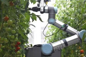 Usa Inteligencia Artificial para localizar flores, navegar entre plantas y polinizar con un 93% de precisión.